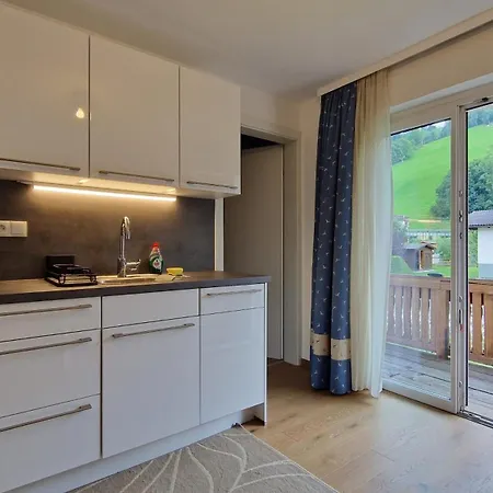 Montis * Haus im Ennstal