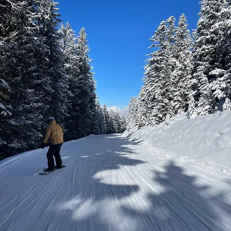 Lägenhet Montis
