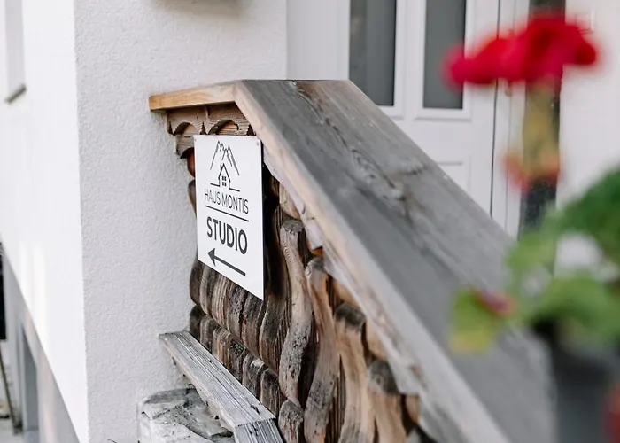 Montis 公寓 恩斯塔尔豪斯